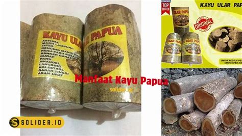 Temukan Manfaat Kayu Papua yang Jarang Diketahui