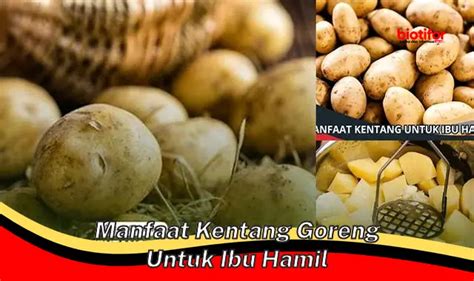 Temukan Manfaat Tak Terduga Kentang Goreng untuk Ibu Hamil yang Jarang Diketahui