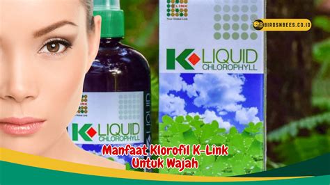 Temukan Manfaat Klorofil K-Link untuk Wajah yang Jarang Diketahui