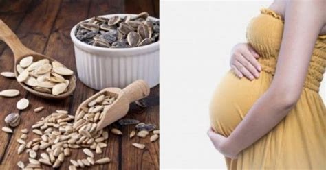 manfaat kuaci rebo untuk ibu hamil meningkatkan produksi ASI