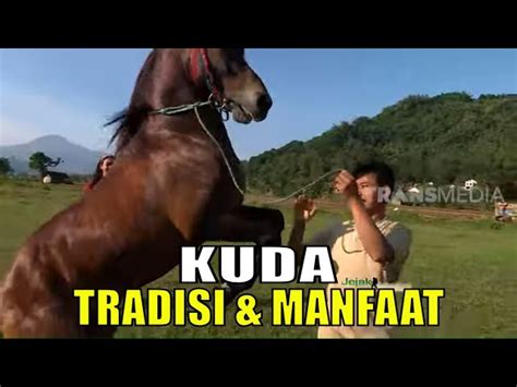 manfaat kuda