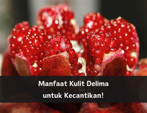 manfaat kulit delima