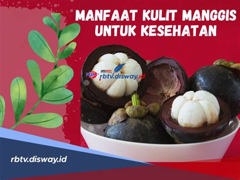 manfaat kulit manggis dan cara mengolahnya