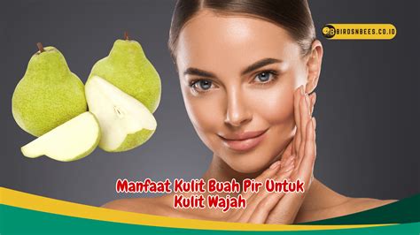 manfaat kulit sikkam