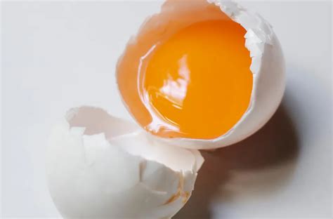 Temukan Manfaat Kuning Telur Mentah Bagi Pria, Jarang Diketahui!