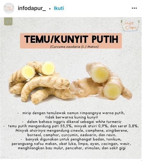 manfaat kunyit putih bagi kesehatan