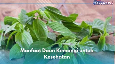Manfaat Lain