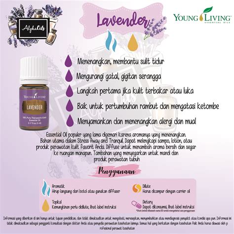 Temukan Manfaat Lavender Young Living yang Jarang Diketahui