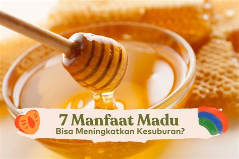 Manfaat Madu Asli: 7 Khasiat Rahasia untuk Kesehatan Anda