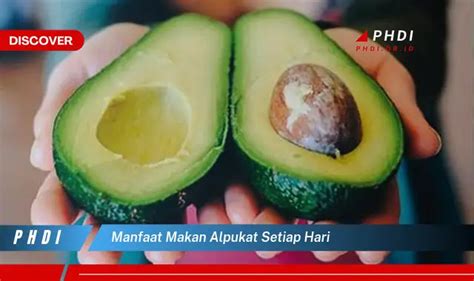 Temukan 7 Manfaat Makan Alpukat Tiap Hari yang Jarang Diketahui