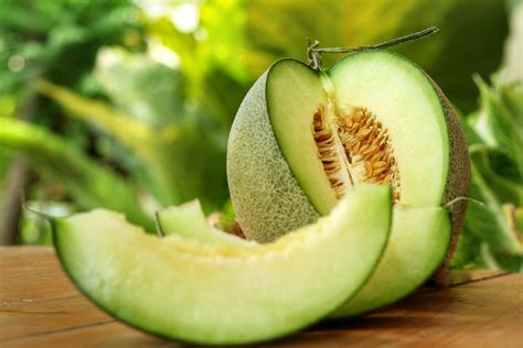 Temukan Manfaat Buah Melon yang Jarang Diketahui untuk Kesehatan Anda!