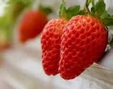 Manfaat Makan Buah Strawberry: Temuan dan Wawasan yang Akan Membuat Anda Tercengang