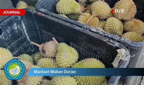 Manfaat Menakjubkan Konsumsi Durian: Nutrisi dan Khasiatnya