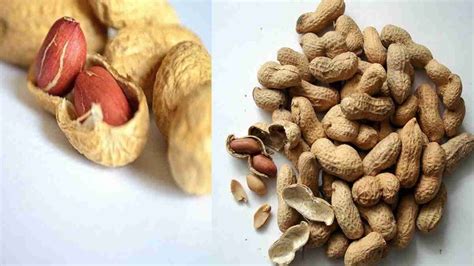 Temukan 7 Manfaat Makan Kacang Tanah Mentah yang Jarang Diketahui