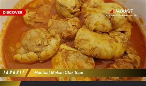 Temukan 8 Manfaat Makan Otak Sapi yang Jarang Diketahui