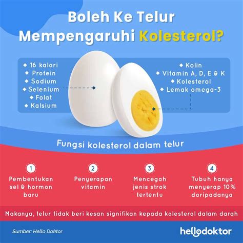 Temukan 7 Manfaat Makan Putih Telur Setiap Hari yang Tak Terduga