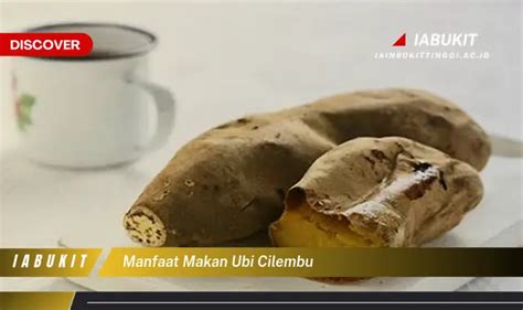 Temukan 7 Manfaat Makan Ubi Cilembu yang Jarang Diketahui