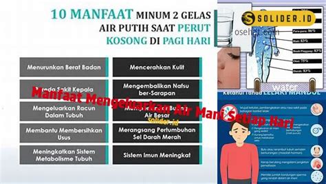 manfaat mengeluarkan air mani setiap hari