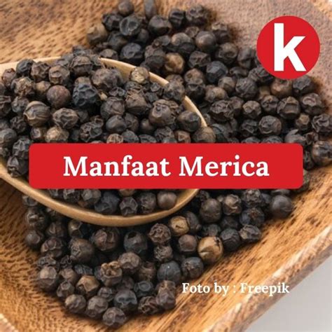 manfaat merica 4