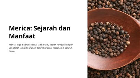 manfaat merica 6