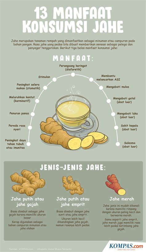 Temukan Manfaat Minum Air Jahe yang Jarang Diketahui