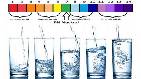 Temukan Manfaat Minum Air pH Tinggi yang Jarang Diketahui