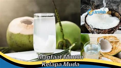 manfaat minum kelapa muda