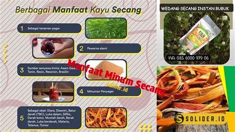 Temukan 7 Manfaat Minum Secang yang Tak Banyak Diketahui