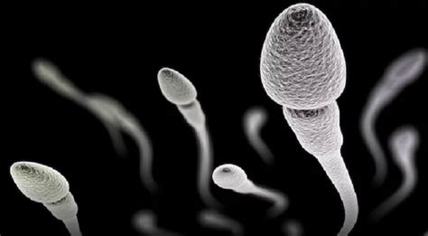 Temukan Manfaat Minum Sperma bagi Laki-laki yang Jarang Diketahui