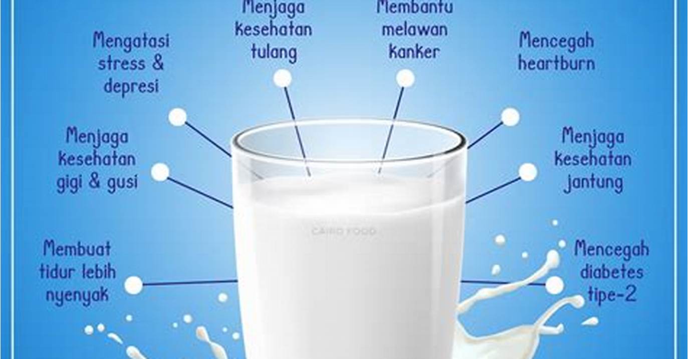 manfaat minum susu untuk daya tahan tubuh