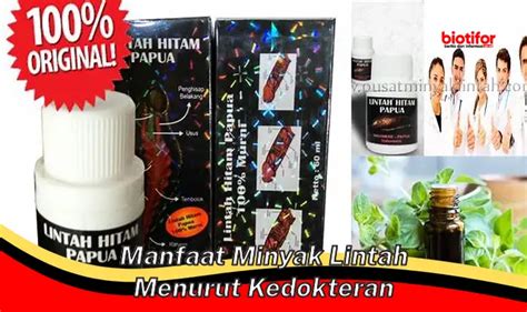 Temukan Manfaat Rahasia Minyak Lintah yang Jarang Diketahui