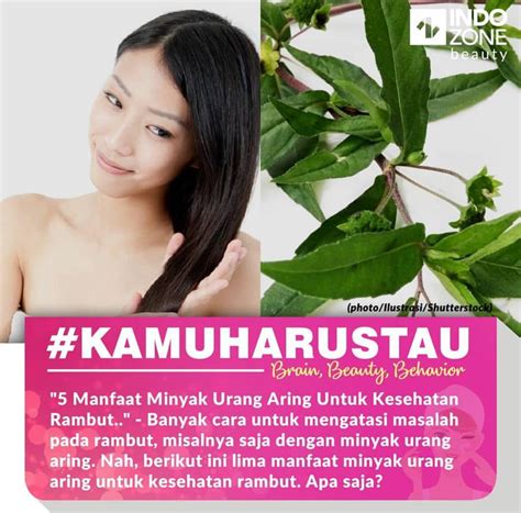 Temukan Manfaat Minyak Ikan Hiu yang Jarang Diketahui