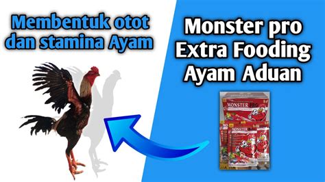 manfaat monster pro