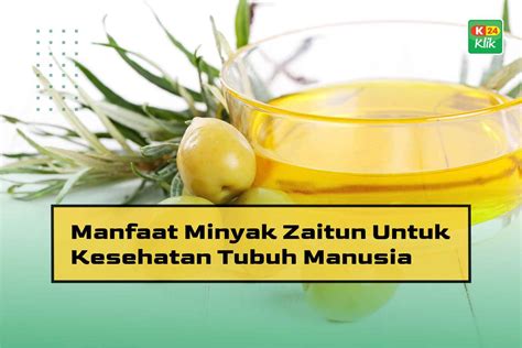 Manfaat Obat Herbal Minyak Zaitun