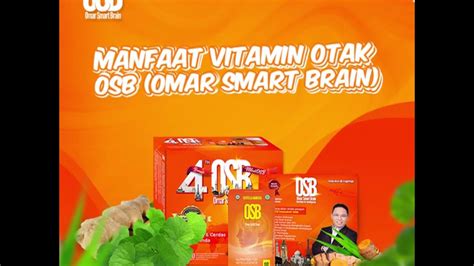 Temukan Manfaat OSB Vitamin Otak yang Jarang Diketahui, Luar Biasa!