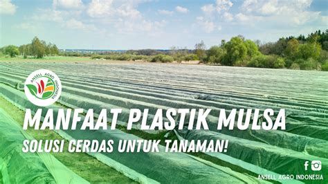 manfaat plastik