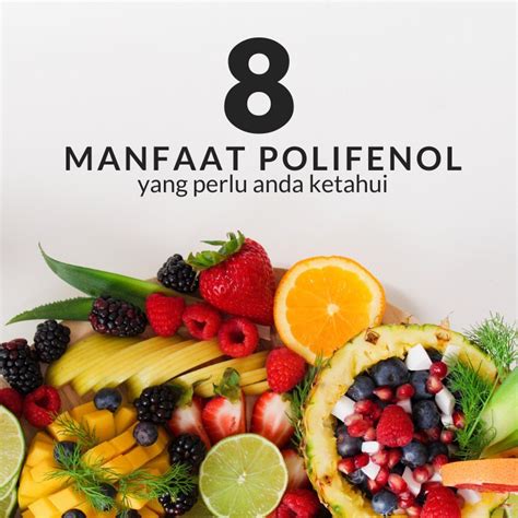 manfaat polifenol