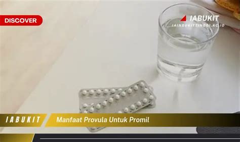 Manfaat Provula untuk Promil yang Jarang Diketahui, Yuk Cari Tahu!