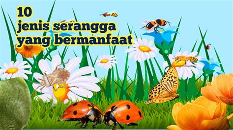 manfaat serangga