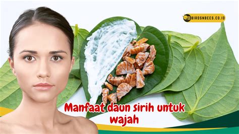 manfaat sirih untuk wajah