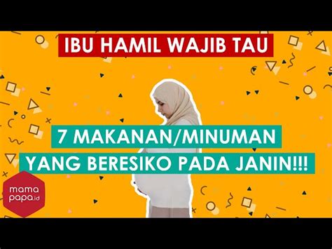 Ungkap 7 Manfaat Sotong untuk Ibu Hamil