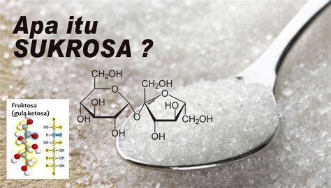 manfaat sukrosa