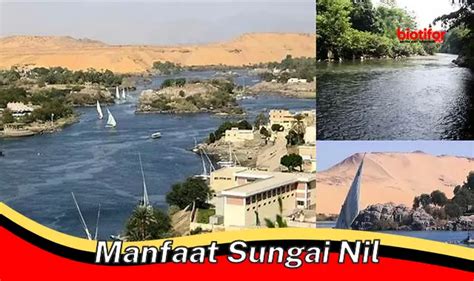 manfaat sungai nil