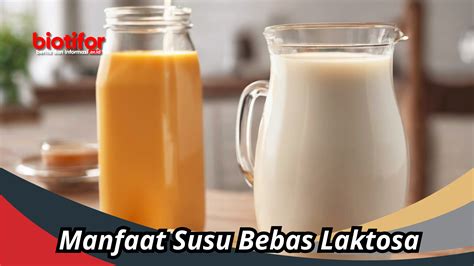 Temukan Manfaat Susu Bebas Laktosa yang Menakjubkan