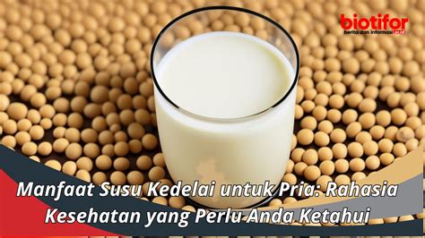 Manfaat Susu Kedelai untuk Pria yang Jarang Diketahui