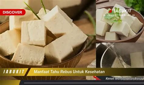 Temukan Manfaat Tahu Rebus untuk Kesehatan yang Jarang Diketahui