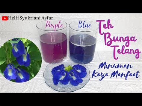 Temukan Khasiat Teh Butterfly Pea yang Jarang Diketahui