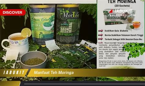 Temukan 7 Manfaat Teh Moringa yang Jarang Diketahui dan Bikin Anda Terkejut