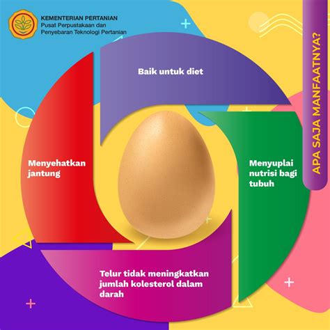 Gambar Manfaat Telur
