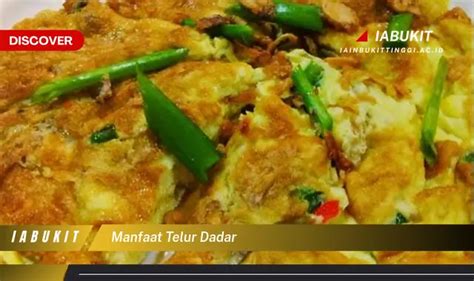 manfaat telur dadar